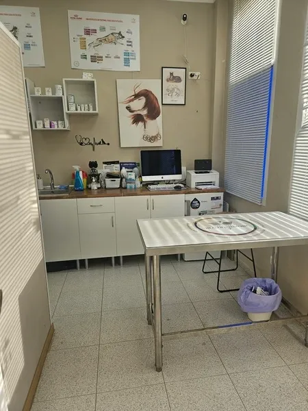 Mesa Consulta Veterinaria