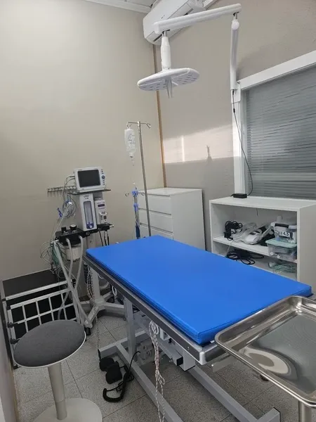 Quirofano Veterinario Benidorm