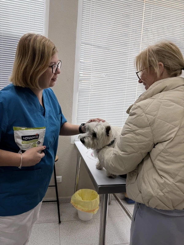 Veterinario Benidorm Love Paws Consulta Perro Atencion Cliente